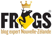 frogs-blog-expert